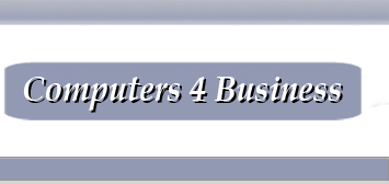 Business consultants and system development